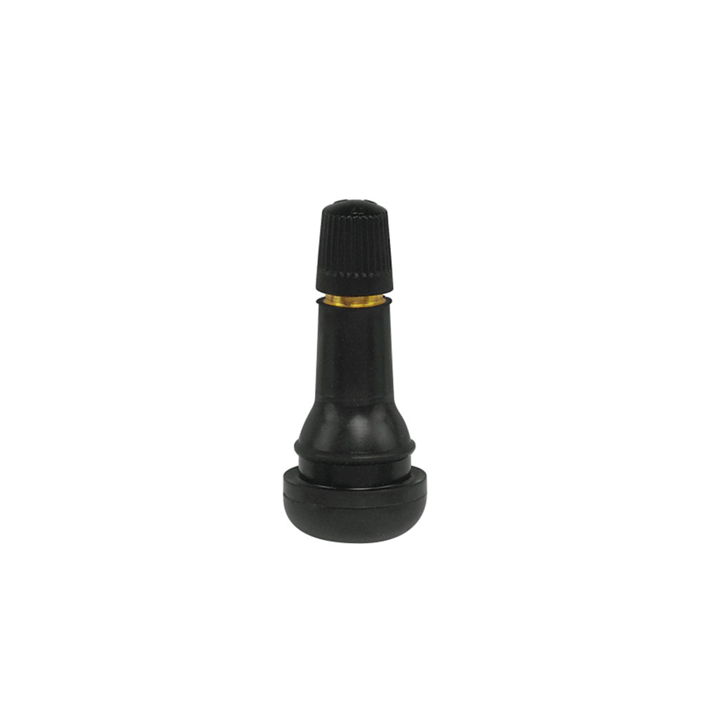 Eco Tubeless Ventil PW TR413, 100 Stück